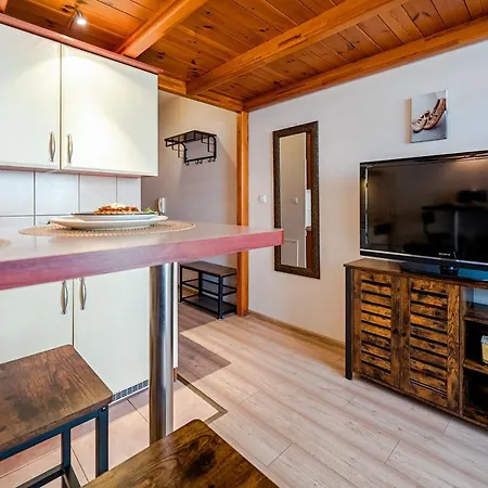 Viva Maria Apartament Zakopane Eksteriør bilde