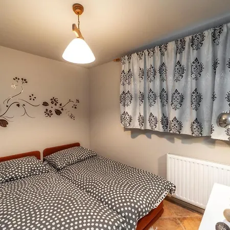Viva Maria Apartament Zakopane Eksteriør bilde