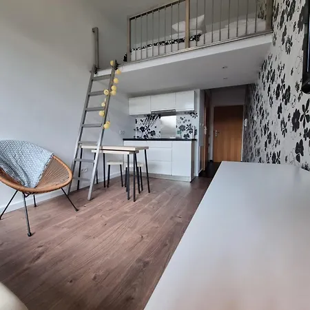 Viva Maria Apartament Zakopane Eksteriør bilde
