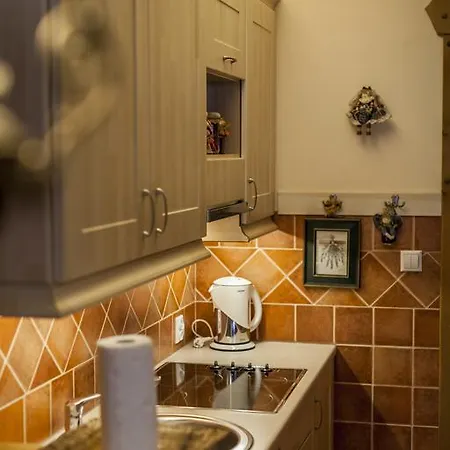 Viva Maria Apartament Zakopane Rom bilde